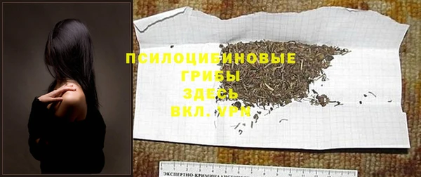 прущая мука Карпинск