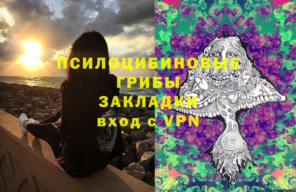 крисы Касимов