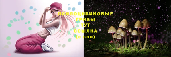 прущая мука Карпинск