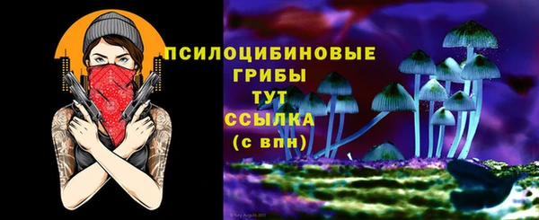 крисы Касимов